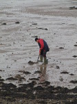 SX09962 Man digging for bait on The Mumbles beach.jpg